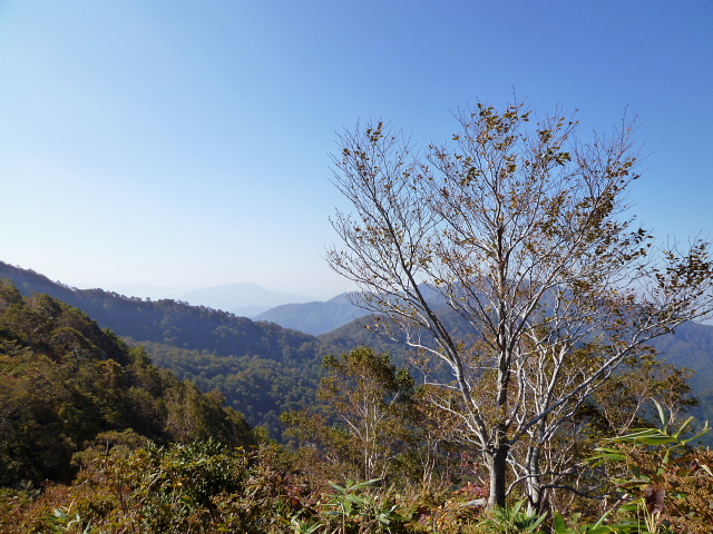 d0170615_7115951.jpg