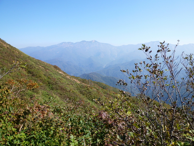 d0170615_7123441.jpg