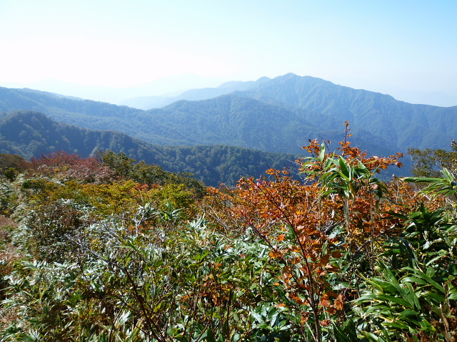 d0170615_713340.jpg