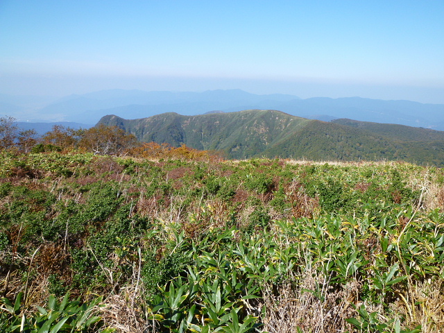 d0170615_713424.jpg