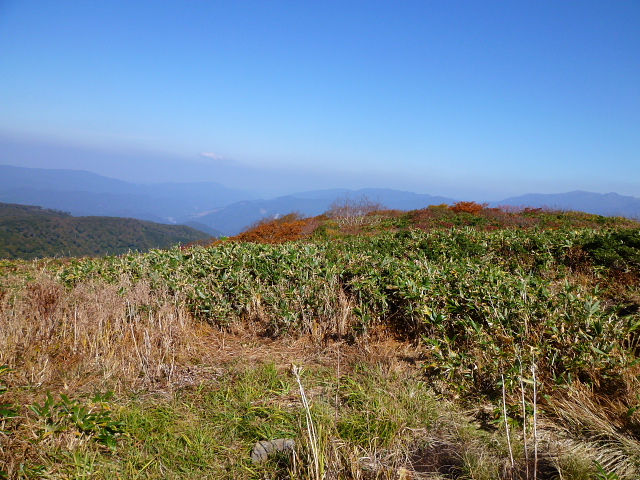 d0170615_71353100.jpg