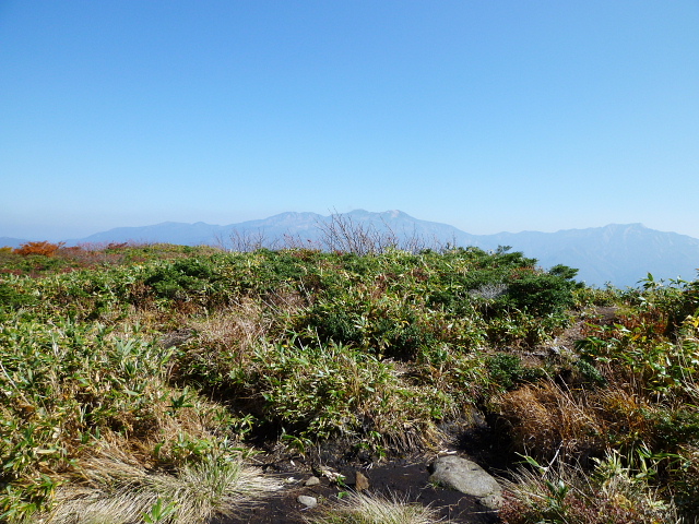 d0170615_714282.jpg