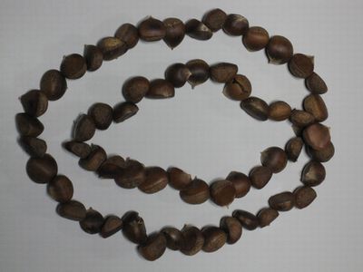 c0094218_8115259.jpg