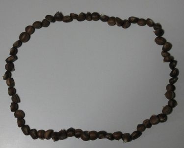 c0094218_834679.jpg