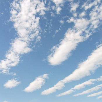 e0210419_12164647.jpg