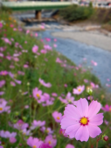 e0153022_21351873.jpg