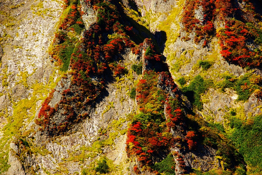 b0062024_18102890.jpg