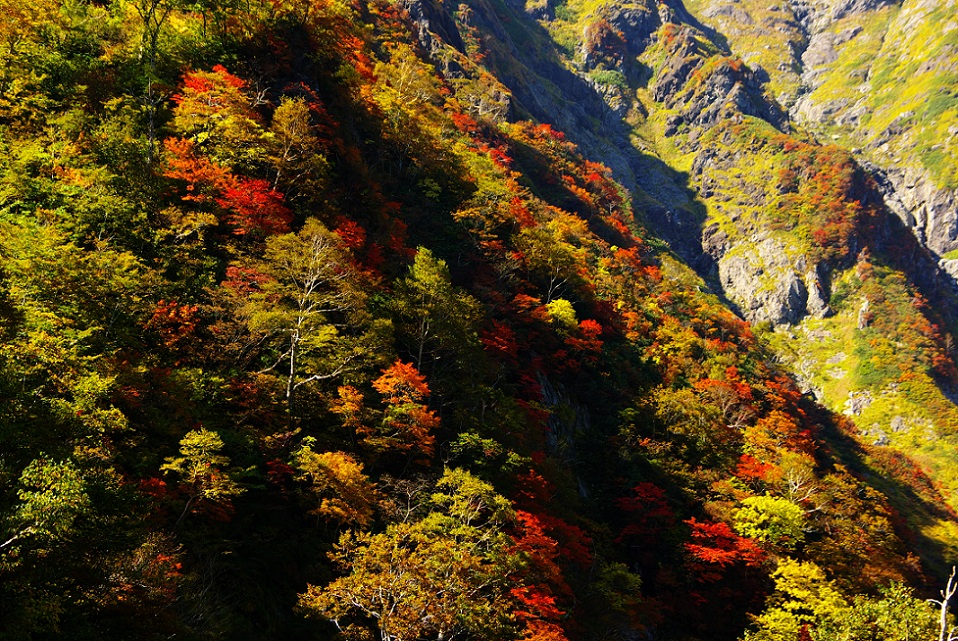 b0062024_1810788.jpg