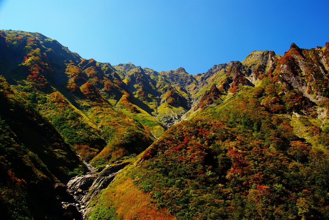 b0062024_1885114.jpg