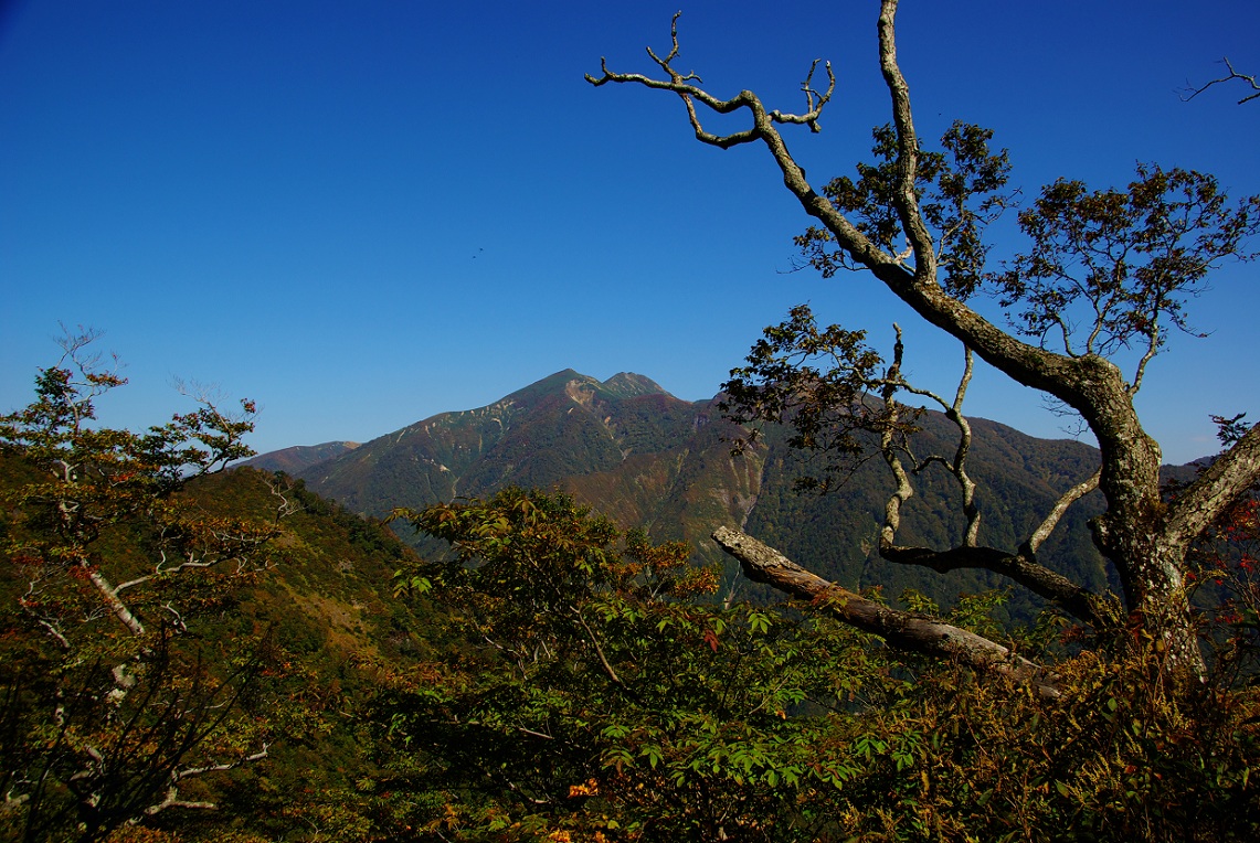 b0062024_1892141.jpg