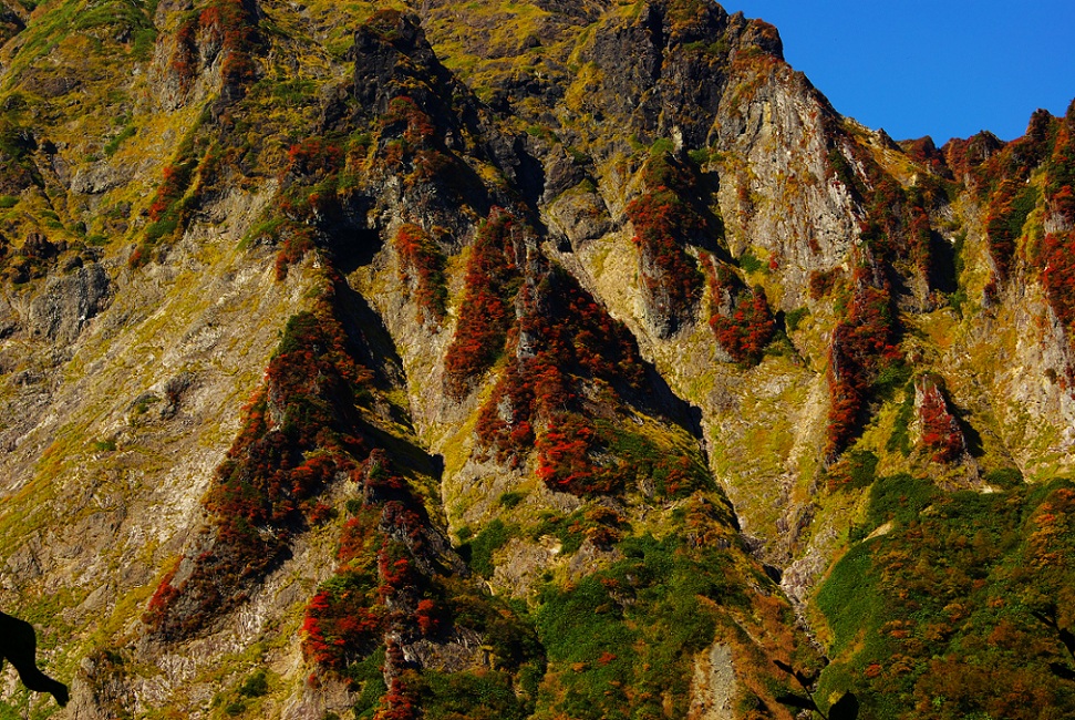 b0062024_1894778.jpg