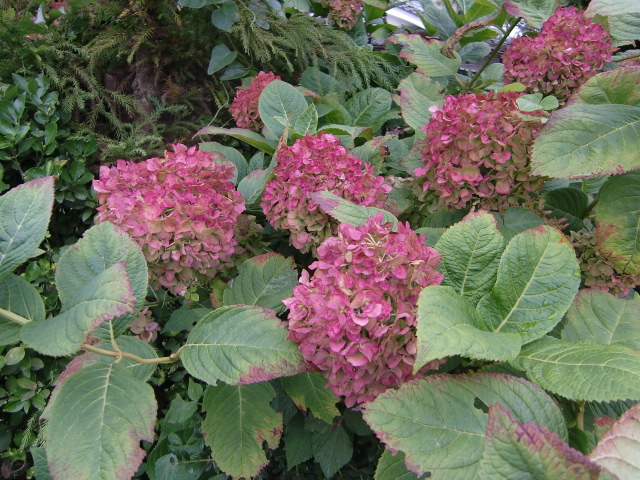 e0234924_1736523.jpg