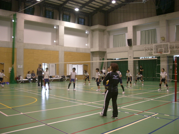 d0138226_1591539.jpg
