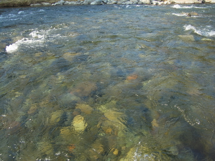 f0103126_20133329.jpg
