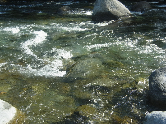 f0103126_2095879.jpg