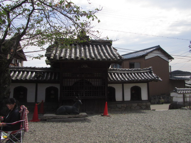 f0054429_16525882.jpg