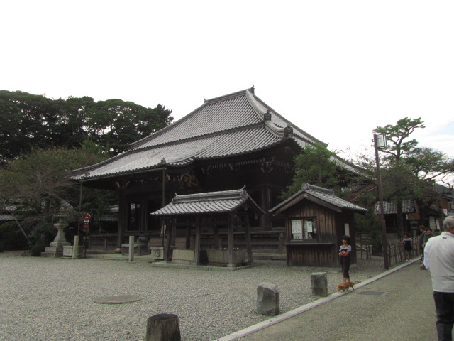 f0054429_1655390.jpg