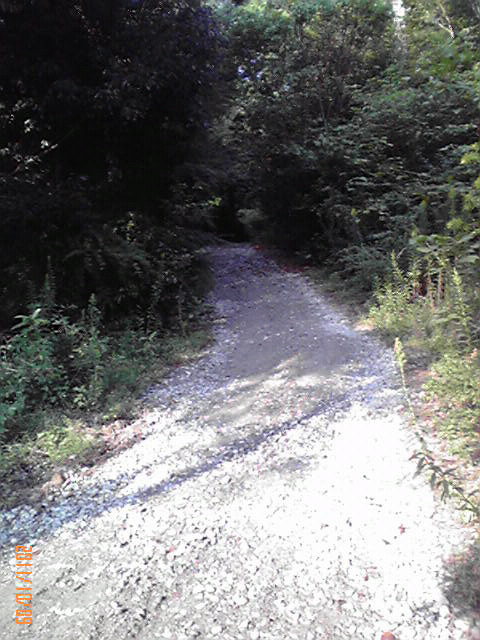 b0222530_6485461.jpg