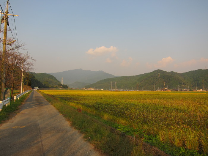 b0191633_2341539.jpg