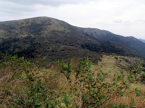 e0166045_2015406.jpg