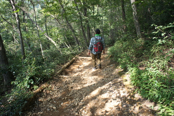 e0207545_1412680.jpg