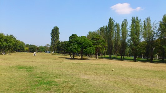 e0100046_14444753.jpg