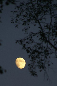 f0045846_12205413.jpg