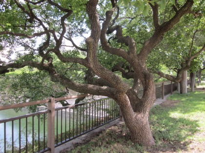 c0145449_1913164.jpg