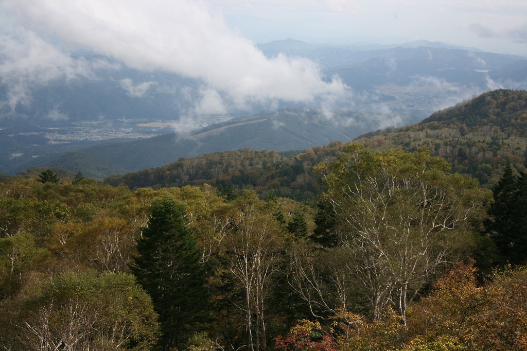 b0029350_433412.jpg