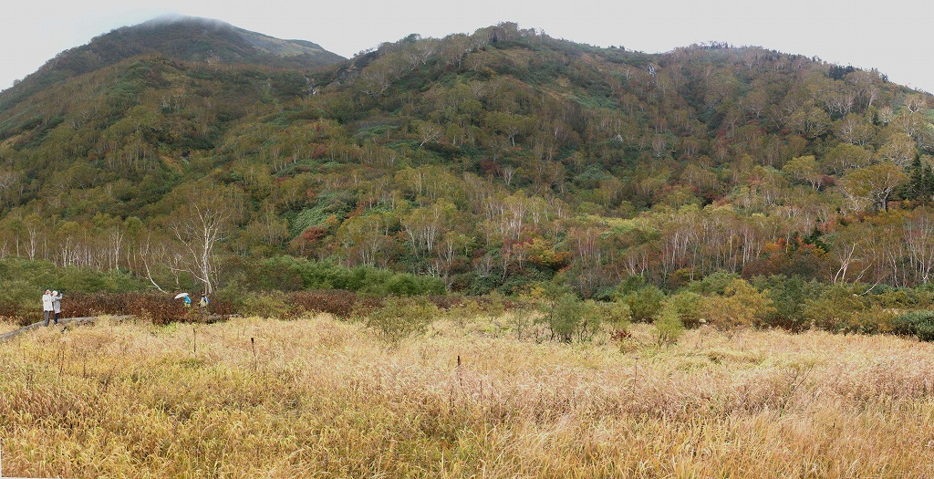 b0029350_434371.jpg