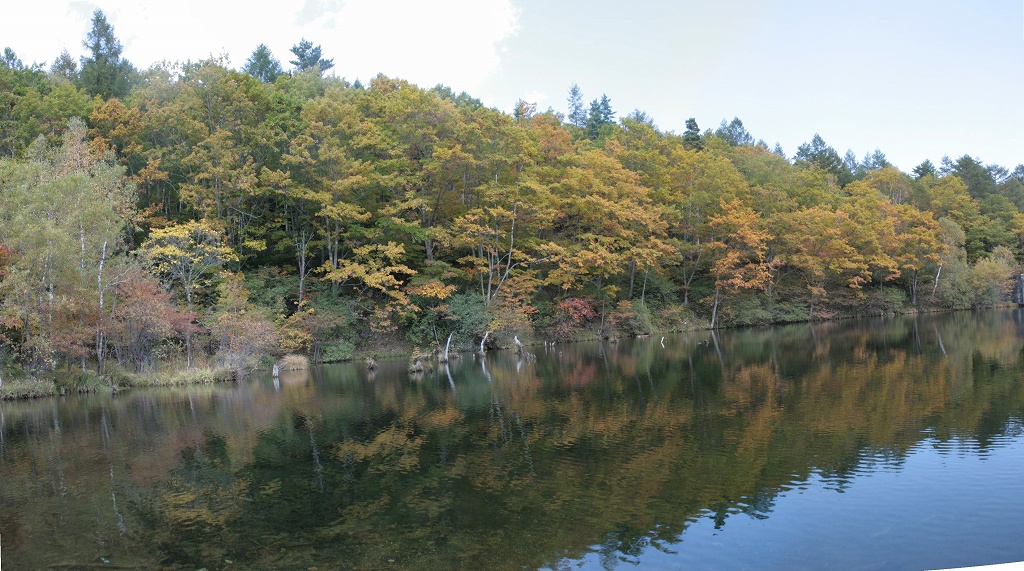 b0029350_5391230.jpg