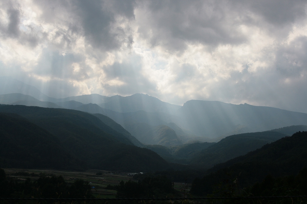b0029350_5393082.jpg
