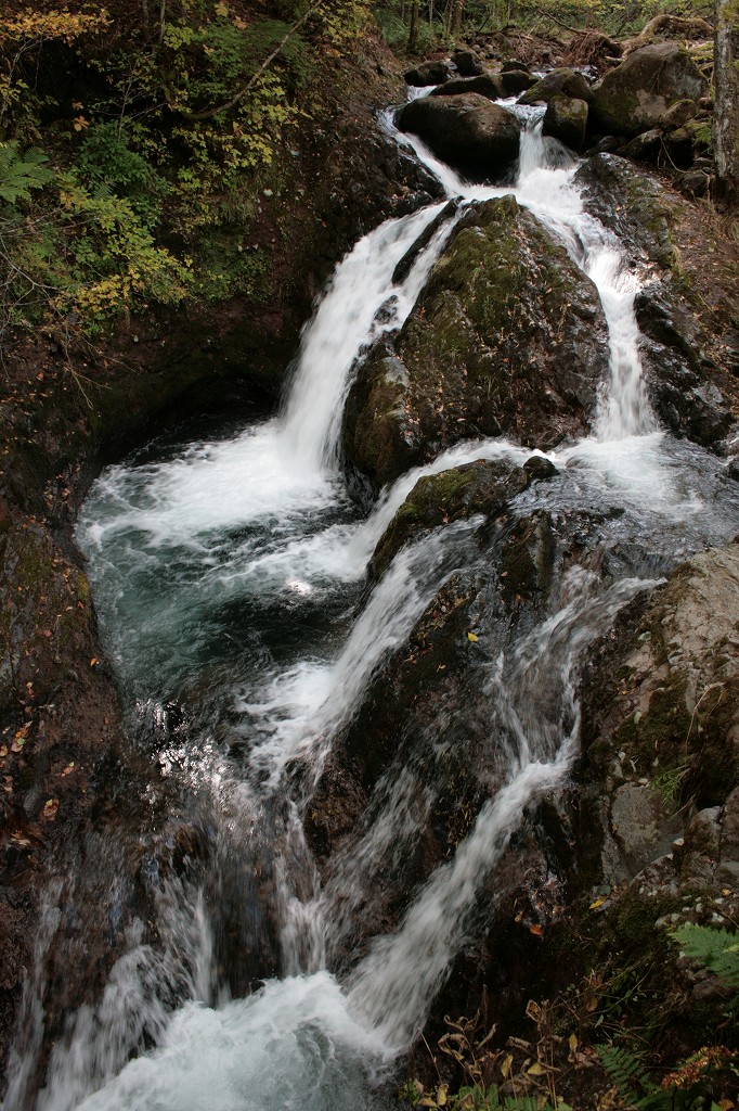 b0029350_5403472.jpg