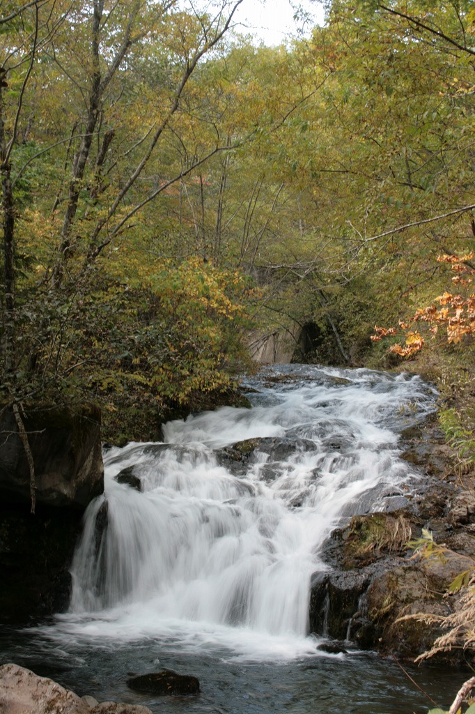 b0029350_541232.jpg