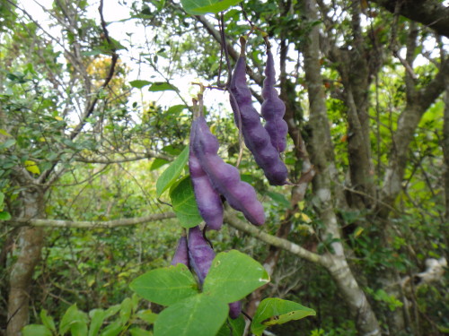 c0179351_19235241.jpg