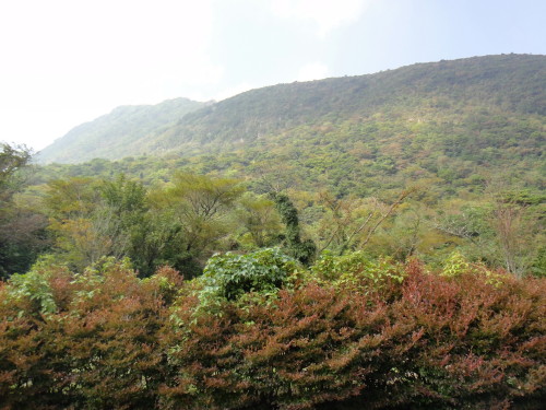 c0179351_19302916.jpg