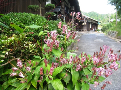 f0202151_21334628.jpg