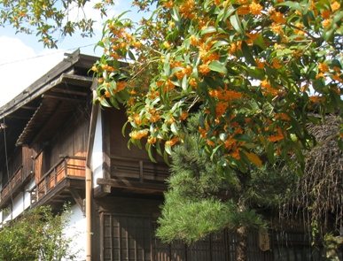 f0202151_21354576.jpg