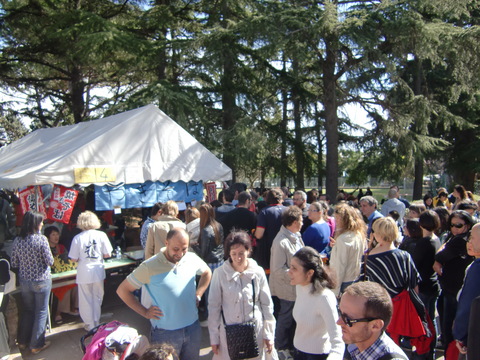 c0206352_5184960.jpg