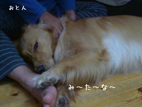 a0166954_423548.jpg