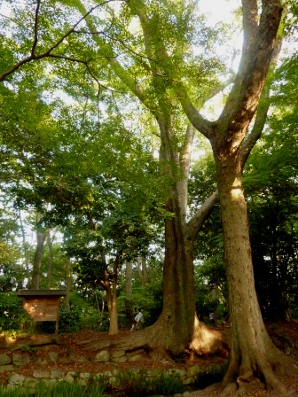 e0028056_13462925.jpg
