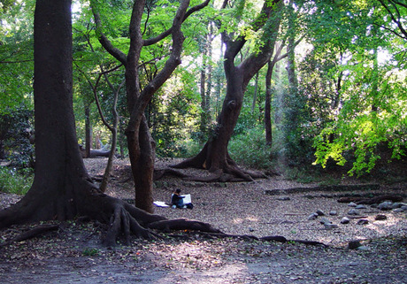 e0028056_13472818.jpg