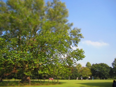 d0158258_19182121.jpg