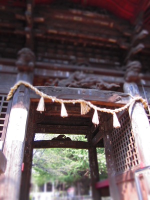 d0158258_1919339.jpg