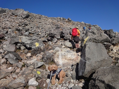 e0170558_0281092.jpg