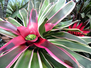 f0176458_19201371.jpg