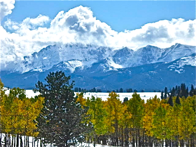 b0207361_8232635.jpg