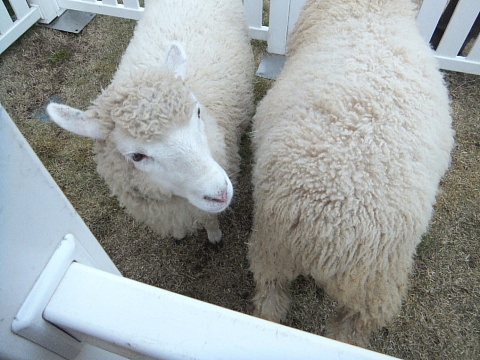 c0107861_2023518.jpg