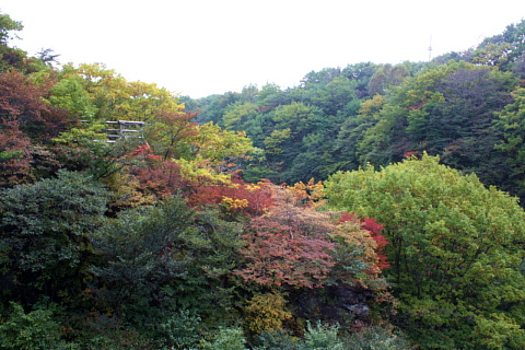 c0107861_20253525.jpg