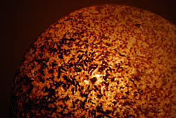 c0114063_103555.jpg